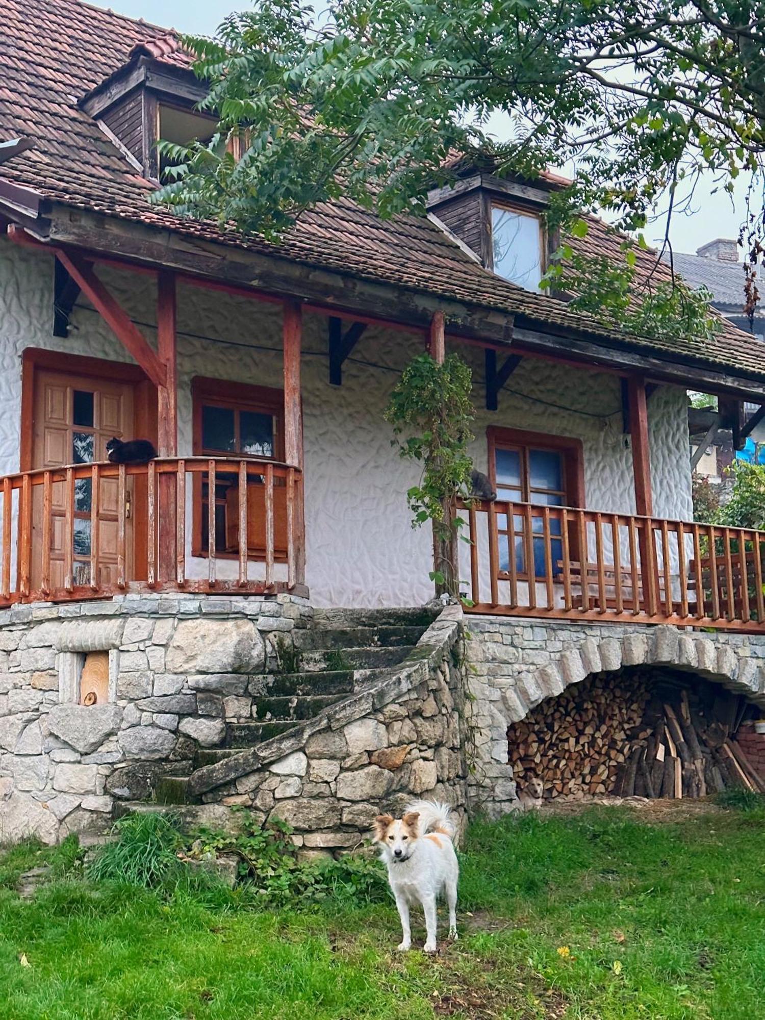 Tisnyi 7 Guest House Kamjanez-Podilskyj Exterior foto
